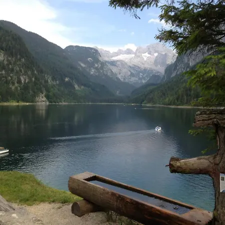 Privat-apartment In A - Tourist-tax Included Apartament Gosau